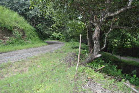 Carrillo beach entrance from Samara