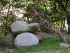 garden decoraton TreeTop House