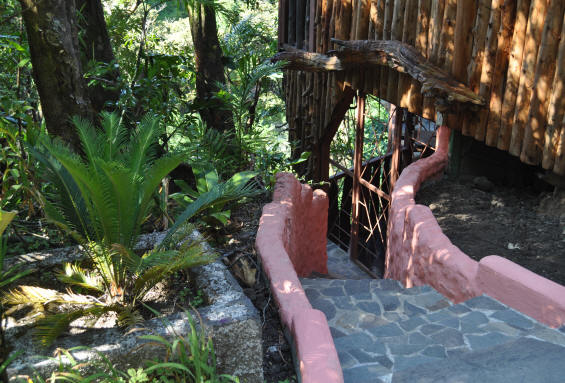 TreeTop House Forest Apartment entrance