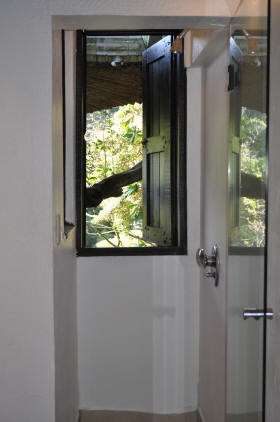 Forest Apartment