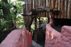 Forest apartment entrance