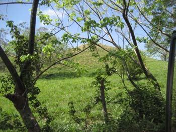 IMG_0654