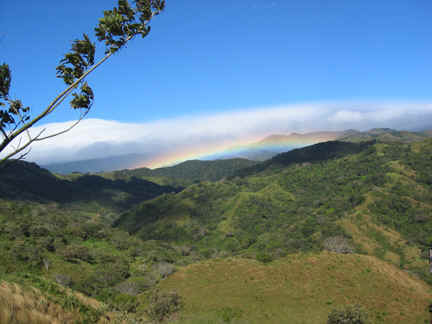copyright by Sabine Hein Monteverde Costa Rica