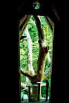 080820 outlook from bed.jpg (93872 bytes)